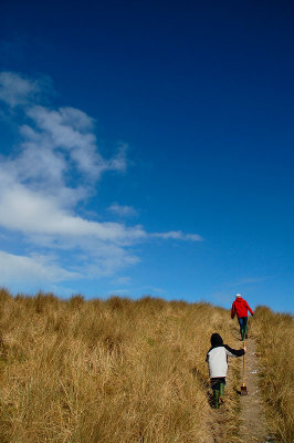 DSC_0249 copy.jpg