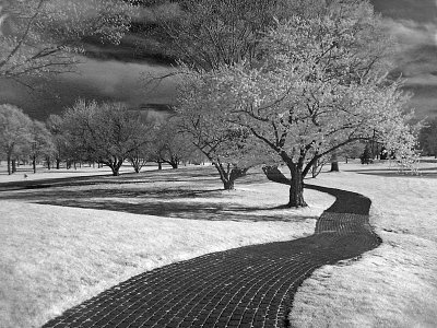 e Infra Red  2009  Canon S30.jpg