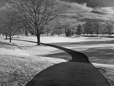 e Infra Red  2009  Canon S30  IMG_2395.jpg