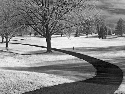 e Infra Red  2009  Canon S30 IMG_2400.jpg
