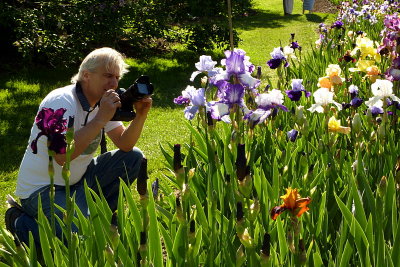 Iris Garden last  ZS3  FS only P1040099.jpg