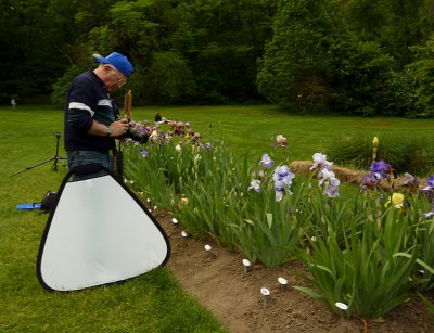 Iris Garden latest ZS3  FS only  P1030840.jpg