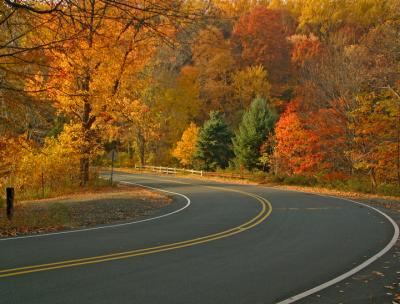 e Fall road 2  FZ10 ps cs2 P13268.jpg