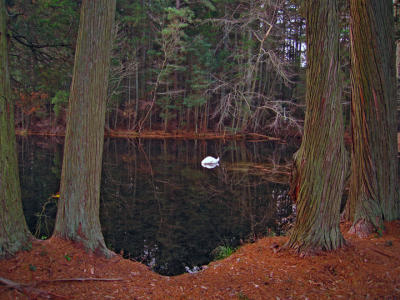 e still sleeping keswick S70 ps cs2 IMG_11523.jpg