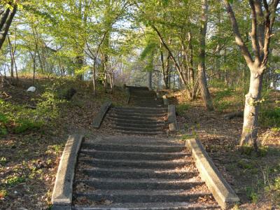 TEST  ISO 80 P0988.jpg
