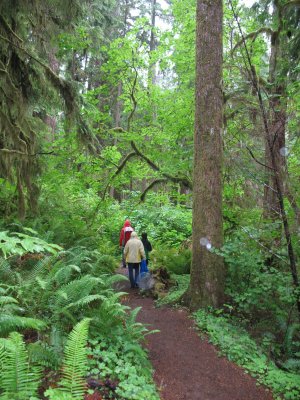 Quinault