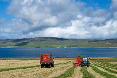 Making Hay