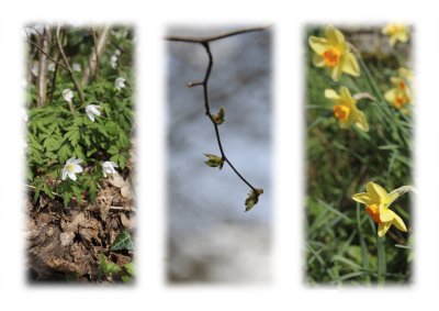 Easter Triptych