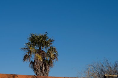 14th - Tropical