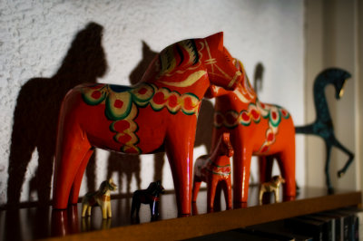 22nd - Horses Galore