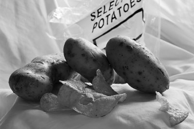 24th - Spud