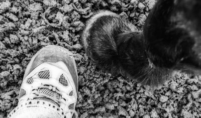 26th - Footsteps