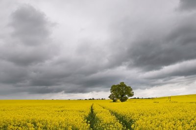 30th - Cloudy