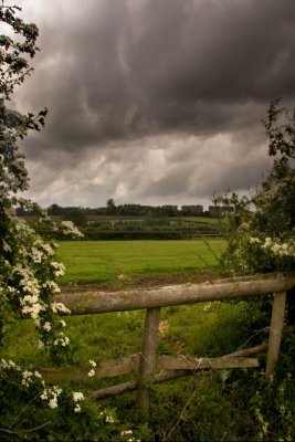 Gloucestershire Field