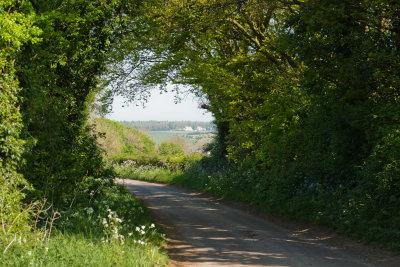 Cotswold Countryside 3