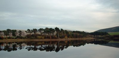 Halloween Reflection