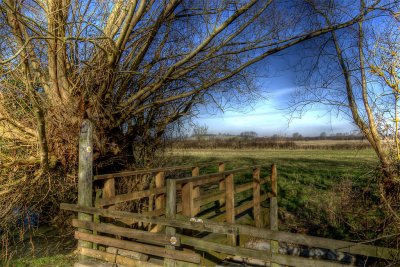 Gap In The Hedge