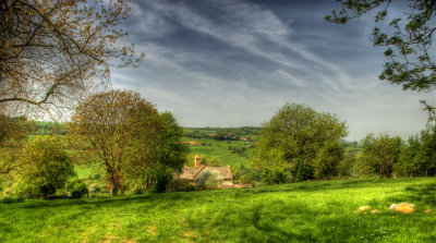 Spring Countryside