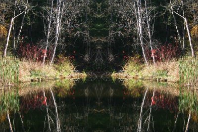 Reflection Pool