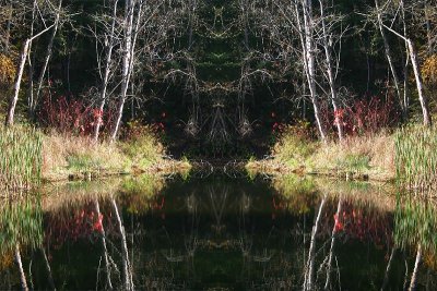 Reflection Pool