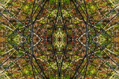 Kaleidescope