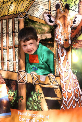 Kindergarten field trip to the zoo