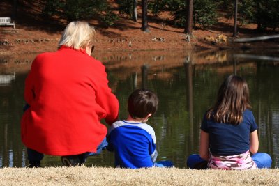 Watching the ducks