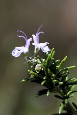 g3/83/838783/3/95812607.9z7BM4hS.jpg