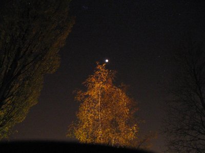 DeBilt, Mooneclipse, 9 november 2003, 01:39 UT
