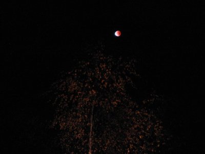 DeBilt, Mooneclipse, 9 november 2003, 01:42 UT