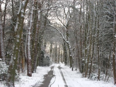 Snow, De Bilt, 25 march 2008