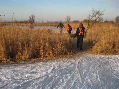 Oostvaardersplassen 090