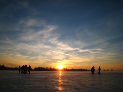 Oostvaardersplassen 153