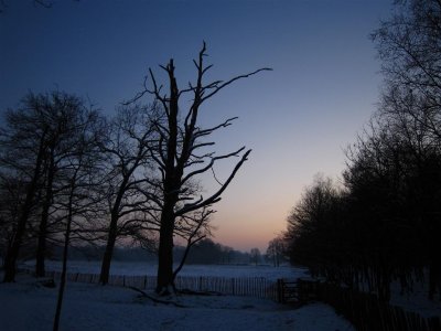 26 january 2010, De Bilt, Houdringe