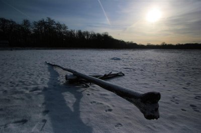 31 january 2010, De Bilt, Houdringe