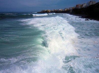 137 - The red flag is raised on the beach: you should not try to swim in these monsters