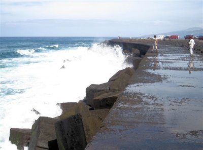 147 - Even Casper got soaken wet by one of these Atlantic waves splashing on the concrete wall...