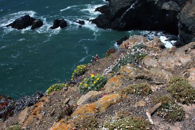 Marin Headlands June 2009 (37).JPG
