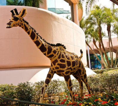 Disney World 2010