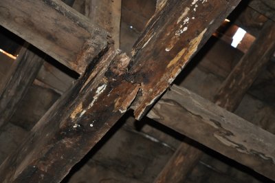 DSC_0193.800.jpg