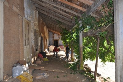DSC_0217.800.jpg
