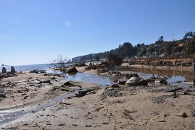 DSC_1278.800.jpg