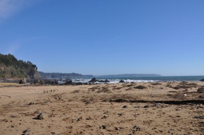 DSC_1347.800.jpg