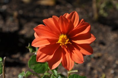 DSC_1622.800.jpg