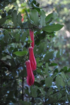 DSC_1856.800.jpg