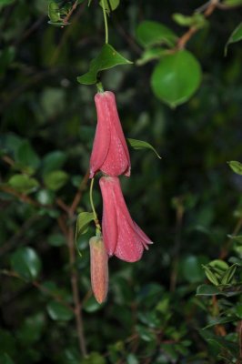 DSC_1910.800.jpg