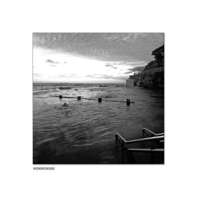 bronte_G-a.jpg
