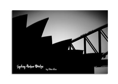 Sydney Harbour Bridge Climber