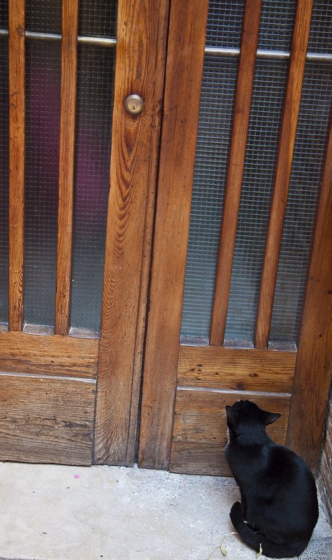 Blackandwhite waits right at the door...