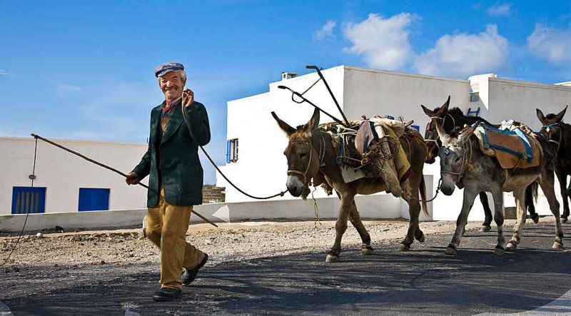 Santorini Farmer and his Entourage